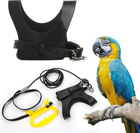 Pet Parrot Bird Harness And Leash Adjustable Bird Harness Leash For