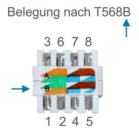 L TEK Telekommunikation RJ45 Stecker Werkzeuglos