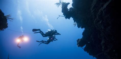 The 6 Best Dive Sites in the Cayman Islands