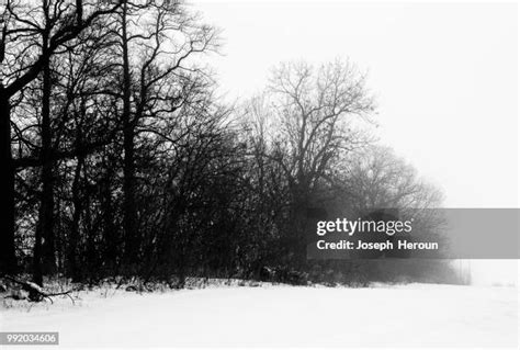 Indiana Snow Photos and Premium High Res Pictures - Getty Images