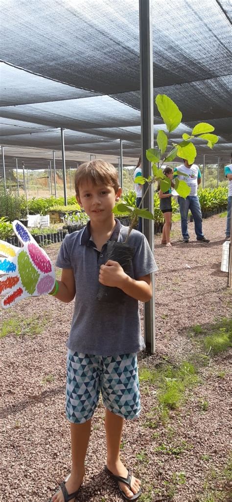 Turma De Alunos Da Escola Chapeuzinho Vermelho Visita Viveiro De Mudas