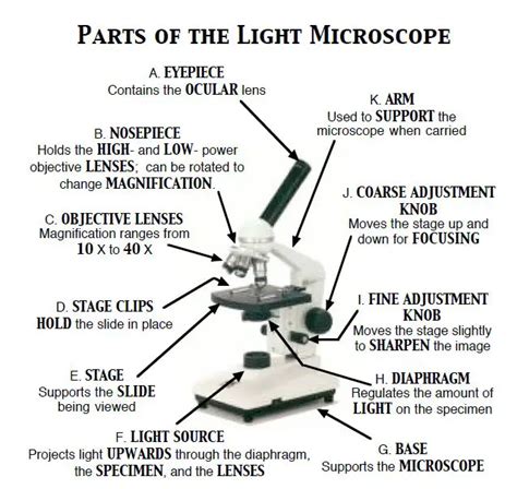 Top 10 microscope parts ideas and inspiration