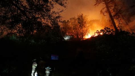 Incendio En Viña Del Mar Estas Son Las Imágenes Más Impactantes Que