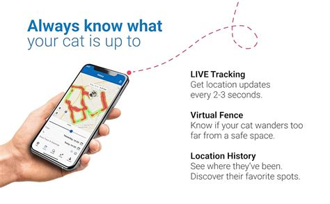 Tractive Traqueur Gps Pour Chats Tanche Localisation Gps Et Suivi D