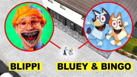 DROHNE überwacht BLIPPI mit BLUEY UND BINGO kämpfen in REAL LIFE um 3