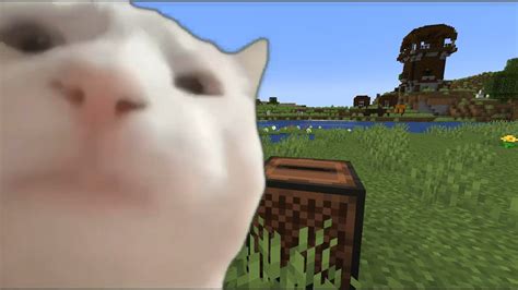 Cat Vibing Listening Track Cat In Minecraft Youtube