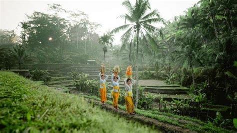 Mengenal Subak Yang Jadi Google Doodle Hari Ini Sudah Diakui UNESCO