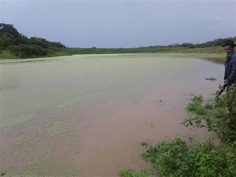 R Dio Comunit Ria De Campo Redondo Confira Imagens De Alguns A Udes Da