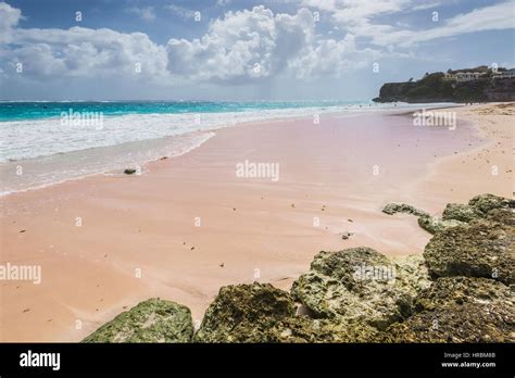 Tropical Beach Sull Isola Dei Caraibi Gru Beach Barbados La