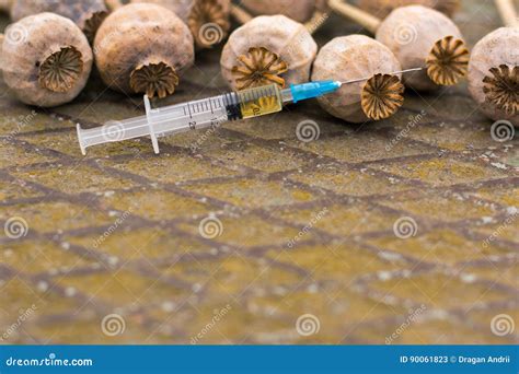 Drug Opium Poppy Inside The Syringe Deadly Drug Addiction Stock Image