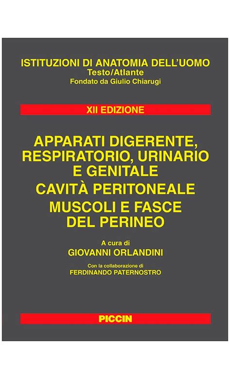 Apparati Digerente Respiratorio Urinario E Genitale Cavit