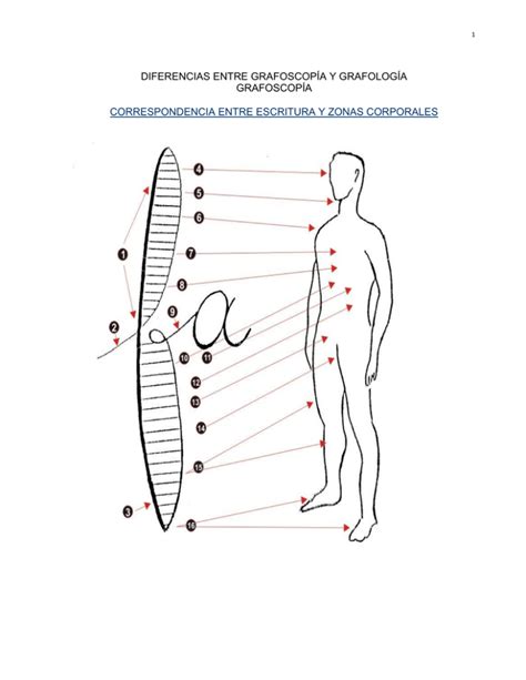 Conceptos B Sicos Sobre Grafolog A Criminalistica Odg