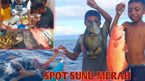 Spot Karang SUNU MERAH Dua MASTER CHILIK Kewalahan Hadapi Ikan Di