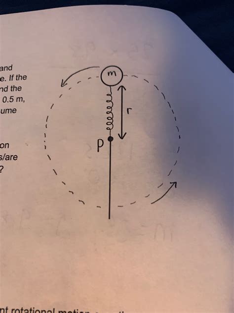 Solved A Ball Mass M Kg Is Attached To A Spring And Chegg