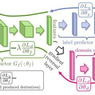 proposed architecture      reverse gradient