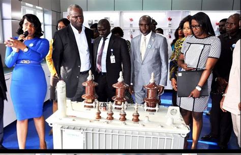 Energy Month Fashola Commissions States Energy Academy Inducts