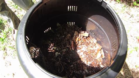 Earth Machine Composting Bin Hard At Work Youtube