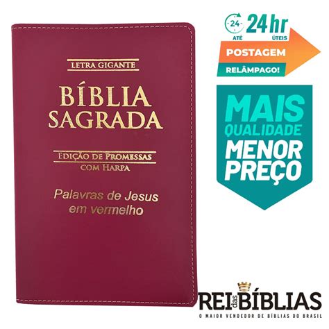 Biblia Sagrada Letra Gigante Luxo Popular Pink Harpa Mulher