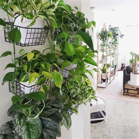 23 Indoor Plant Wall Ideas To Bring Life To Any Room