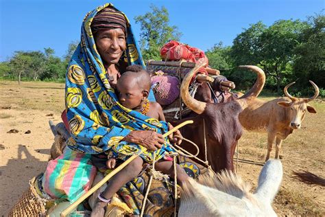 Los Wodaabe De Chad Orígenes Símbolos Y Relaciones En El Gerewol