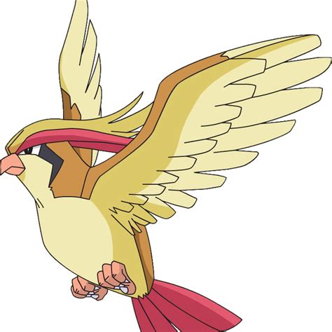 Pidgey Pokemon PNG Images Transparent Free Download