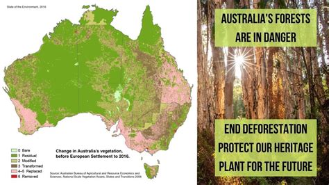 Petition · Change the EPBC: Stop logging old growth, Reforest Australia ...