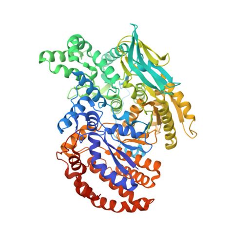 RCSB PDB - 4ZDA: Crystal structure of isocitrate dehydrogenase in ...