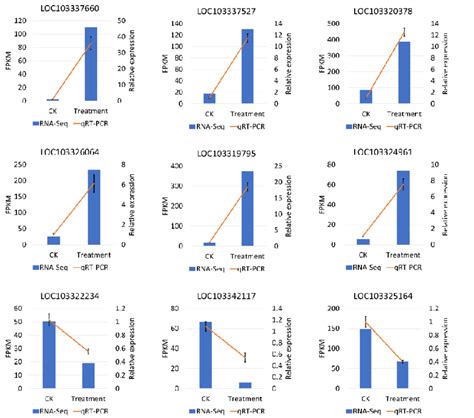 Qrt Pcr Validation Of The Expression Level Of Nine Degs May Respond To