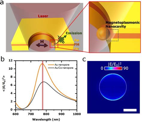 Figure From Magnetic Control Of Particle Trapping In A Hybrid