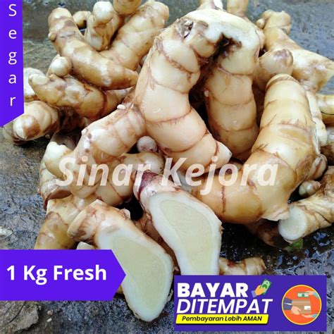 Jual Temu Putih Kunyit Putih Segar Kg Curcuma Zedoaria Temu