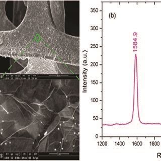 Characterization Of D Graphene Foam A Sem Image Of D Graphene