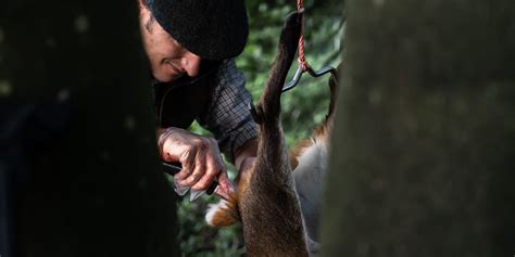 Deer Carcass Handling Tips And Tricks From Basc Staff