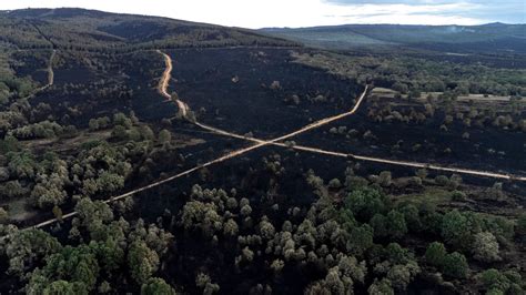 La Junta Pide La Declaración De Zona Catastrófica Por El Incendio De Zamora