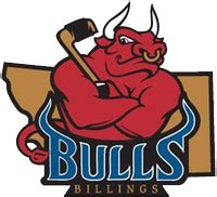 logo-Billings-Bulls-Billings-Hockey - Total Transportation