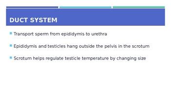 Health Science Unit Slides Growth Development And Sexual Health