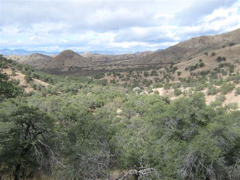 Incredible habitat - AZ in January 2017. | Arizona hunting, Natural ...