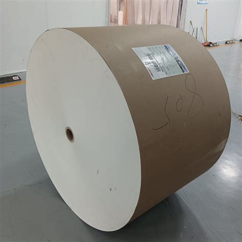 Single Double Pe Coated Paper In Roll For Making Paper Cup China Pe