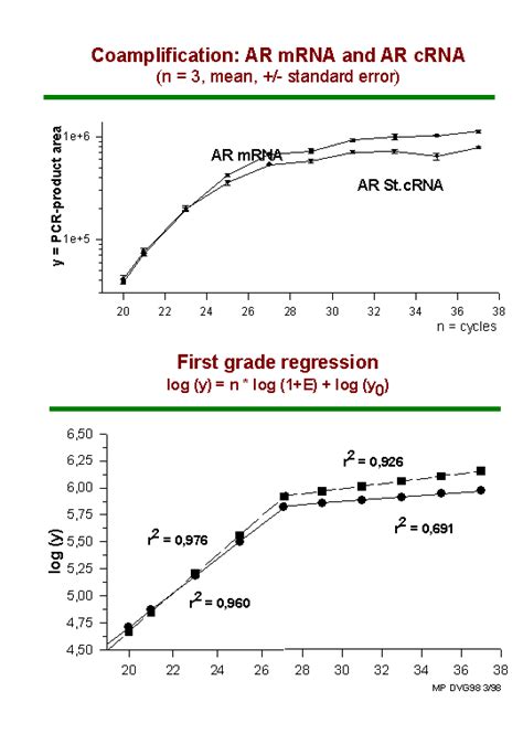 Bioinformatics Pcr Efficiency In Real Time Pcr