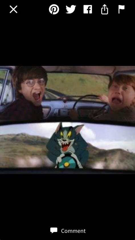 two people in a car with an animated cat on the front and back window ...