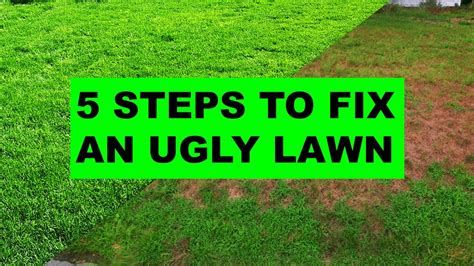 How To Fix An Ugly Lawn In 5 Easy Steps Youtube