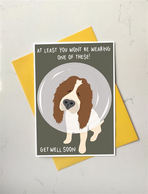 Get Well Soon Dog Card Funny Springer Spaniel Cone of Shame Card Eco ...