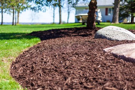 Proper Mulching The Great Big Greenhouse Gardening Blog