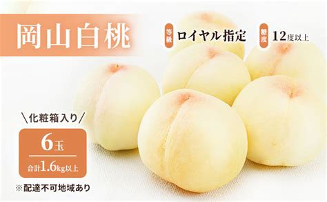 桃 2024年 先行予約 岡山 白桃 6玉 16kg以上 等級：ロイヤル指定／糖度：12度以上 化粧箱入り もも モモ 岡山県産 国産