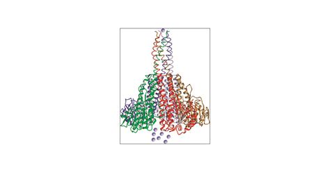 Cation Selectivity By The Cora Mg Channel Requires A Fully Hydrated