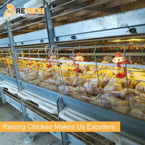 Automatic H Type Battery Chicken Cage Poultry Farm House Design For