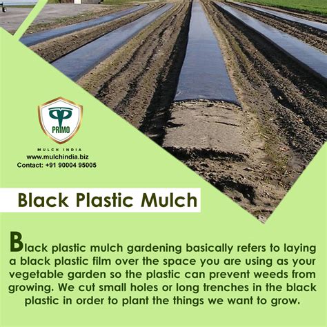 MulchIndia Black Plastic Mulch Mulch India Call 91 9000495005