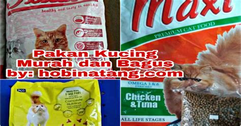 8 Merk Makanan Kucing Yang Bagus Dan Murah Terbaru 2020 Hobinatang