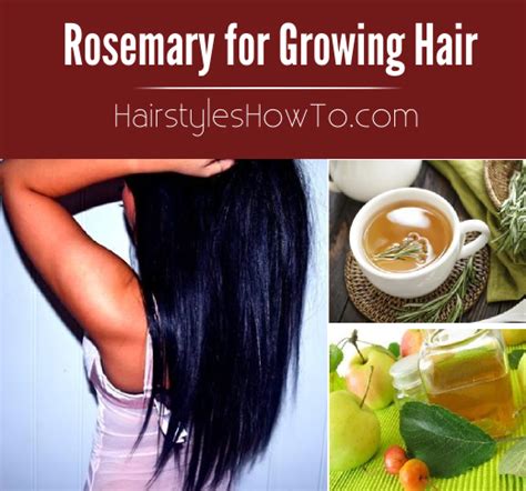 Growing Hair Using Rosemary | Hairstyles How To