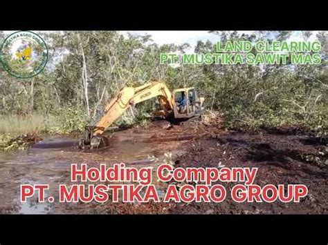 LAND CLEARING LAHAN PERKEBUNAN KELAPA SAWIT INTI PLASMA PT MUSTIKA