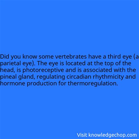 some vertebrates have a third eye (a parietal eye). The eye is located ...